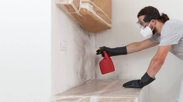 Professional Bathroom Mold Removal technician working in Osterburg, PA